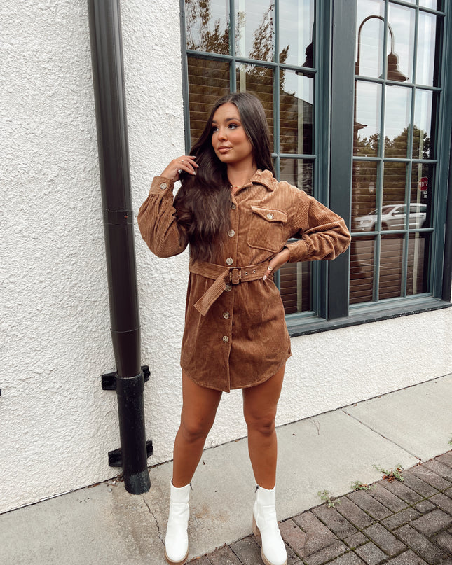 Meant To Be Dress - Brown