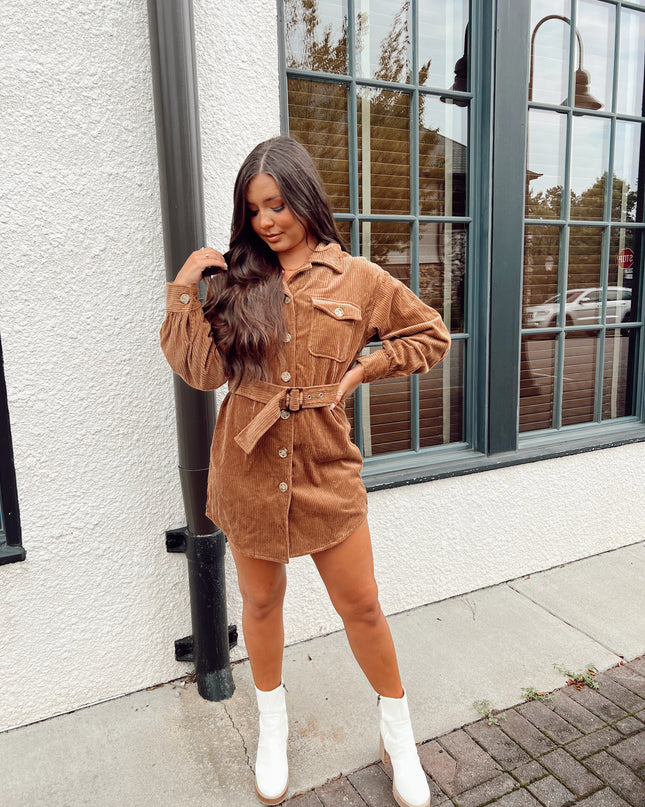 Meant To Be Dress - Brown