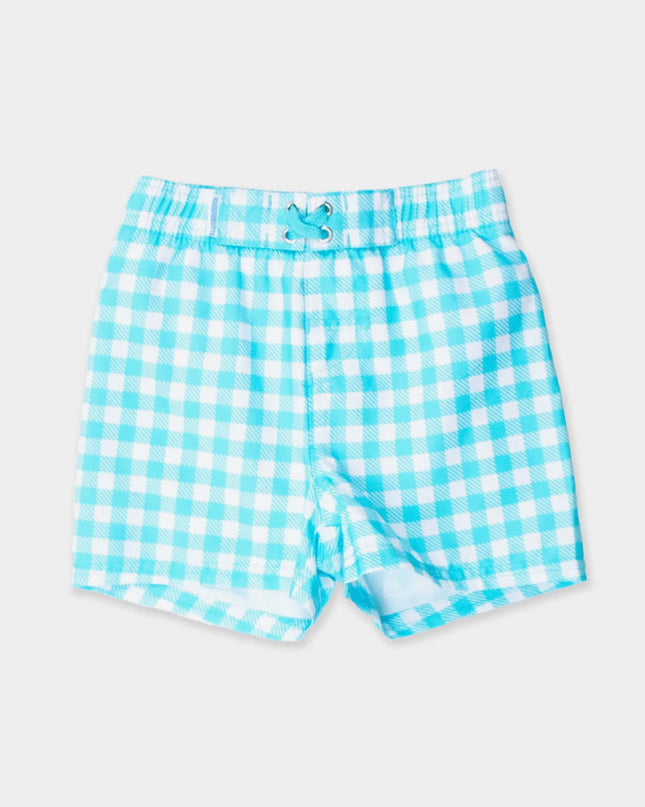 RB - Boys Aqua Gingham Swim Trunks