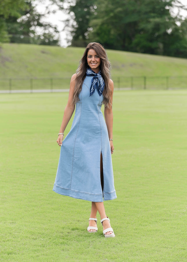 Daisy Denim Dress - Denim